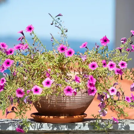 Xalonia Seaview Apartment Agios Nikolaos (Chalkidiki)