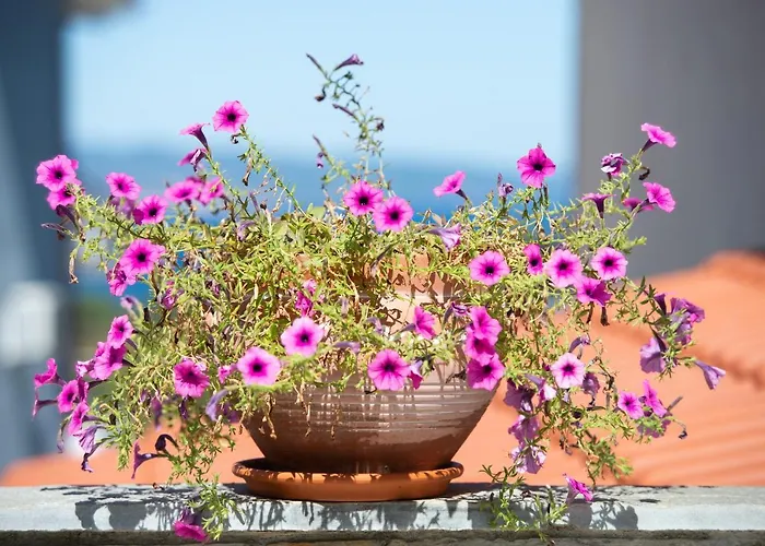 Xalonia Seaview Daire Ayos Nikolaos